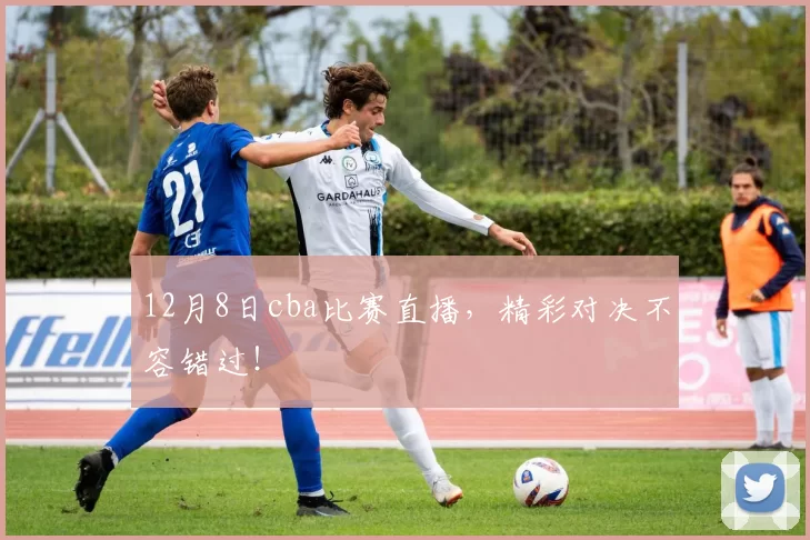12月8日cba比赛直播,精彩对决不容错过!