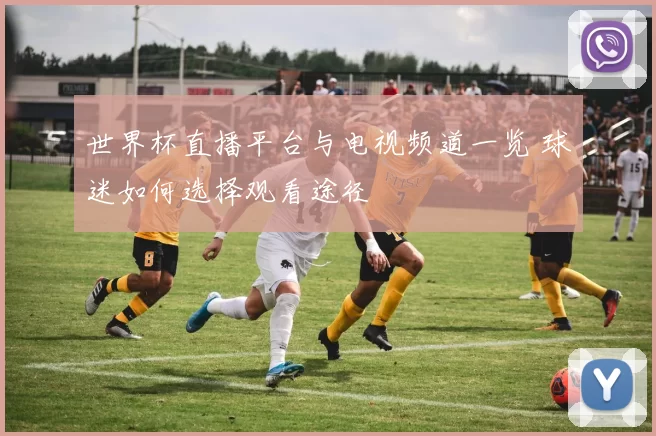 世界杯直播平台与电视频道一览 球迷如何选择观看途径