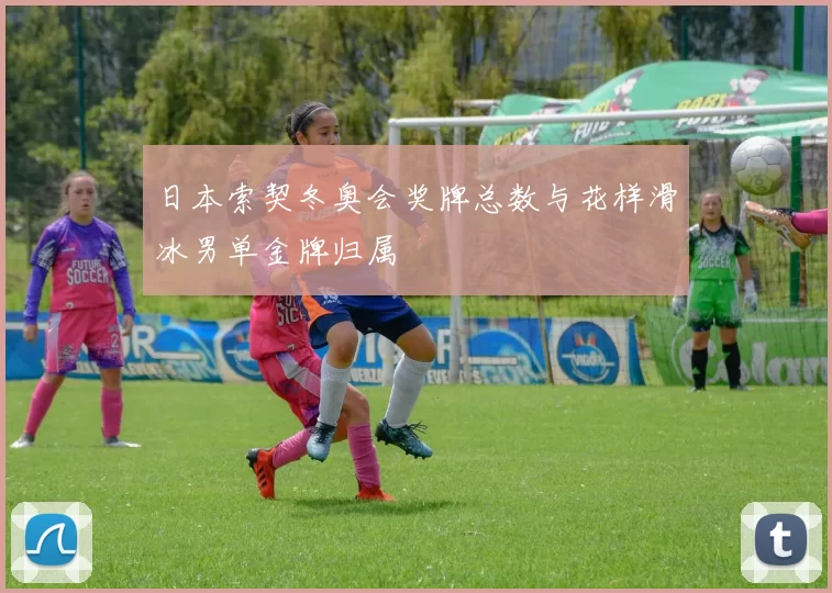 日本索契冬奥会奖牌总数与花样滑冰男单金牌归属