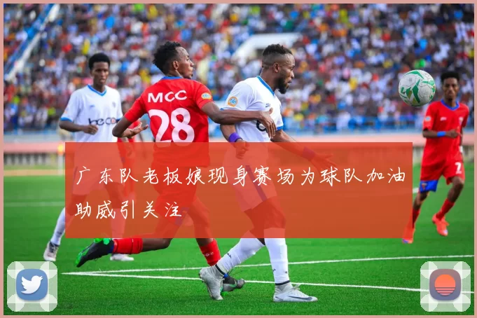 广东队老板娘现身赛场为球队加油助威引关注